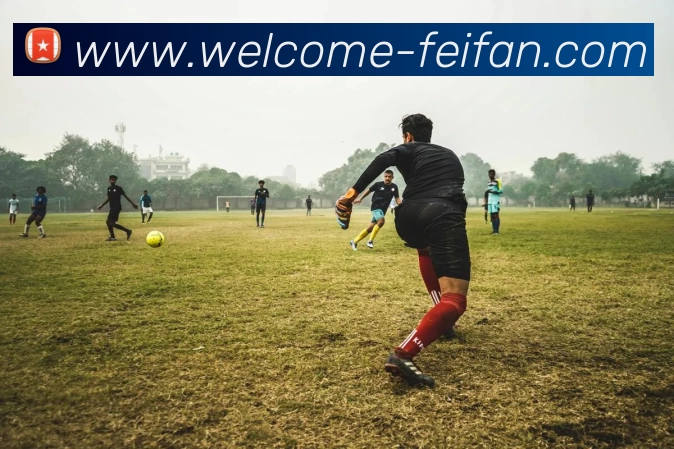 App Interface Preview